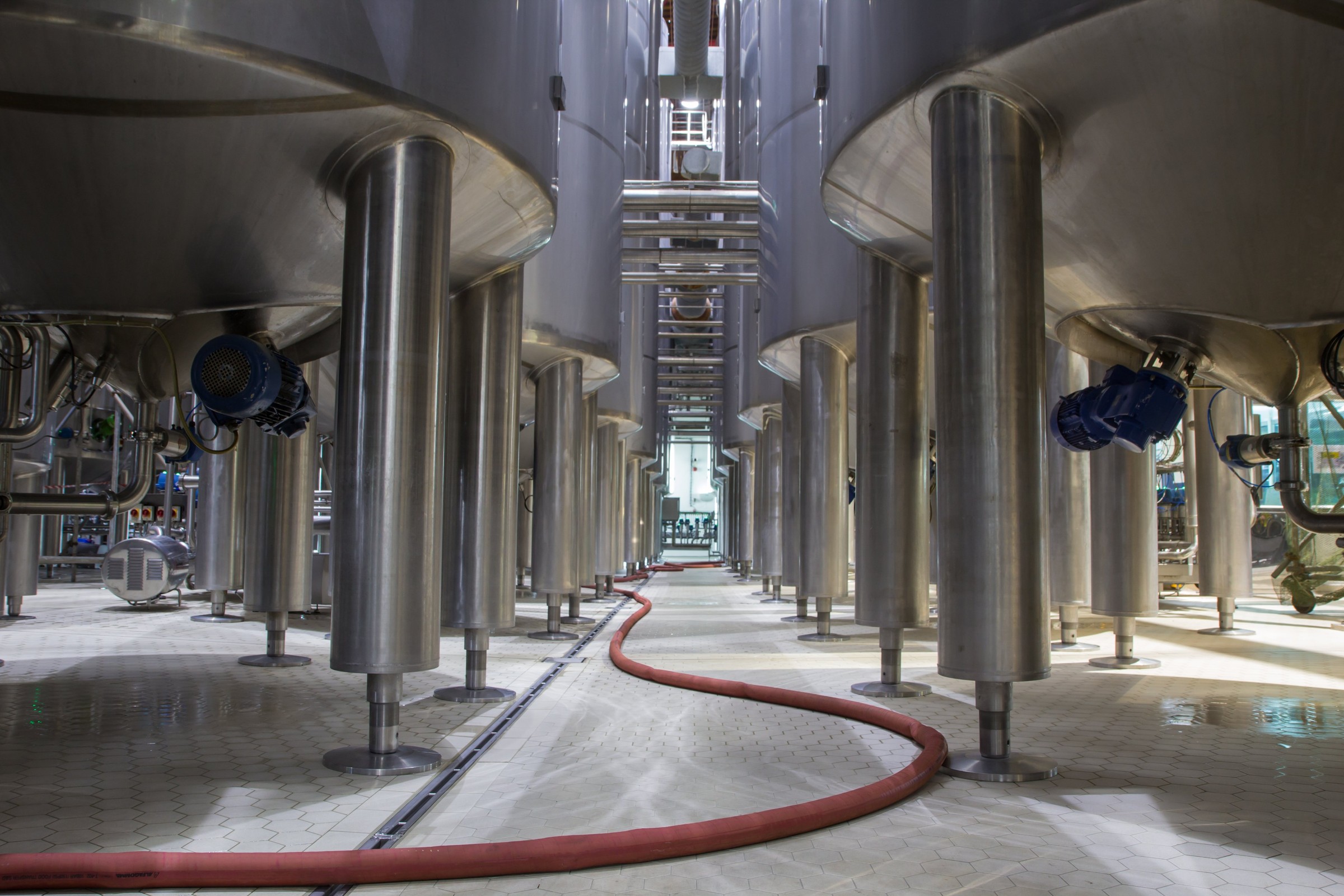 Stainless process tanks in a food-grade plant